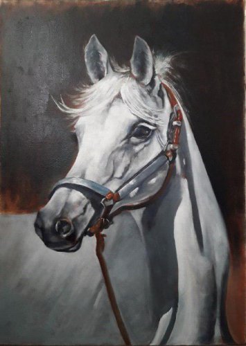خرید نقاشی رنگ روغن اسب