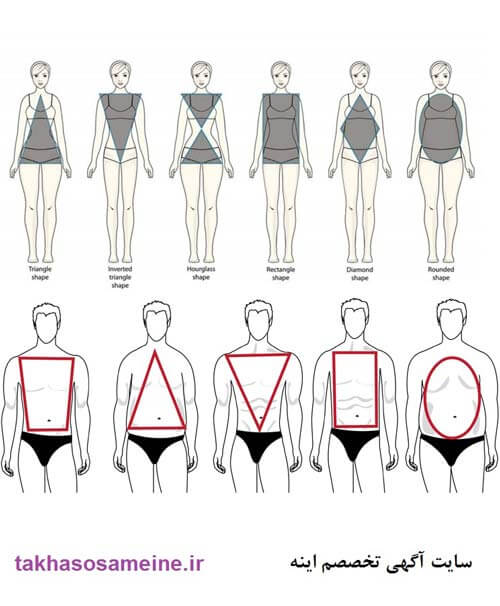 شکل های مختلف بدنی - آشنایی با انواع فرم بدن