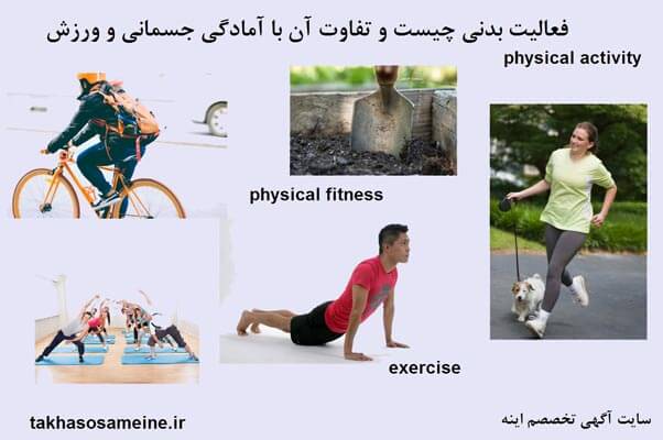 فعالیت بدنی (physical activity) چیست و تفاوت آن با آمادگی جسمانی (physical fitness) و ورزش
