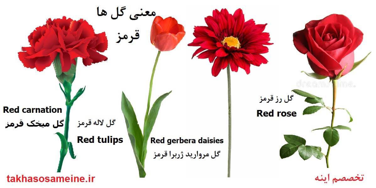 معنی گل ها - قرمز